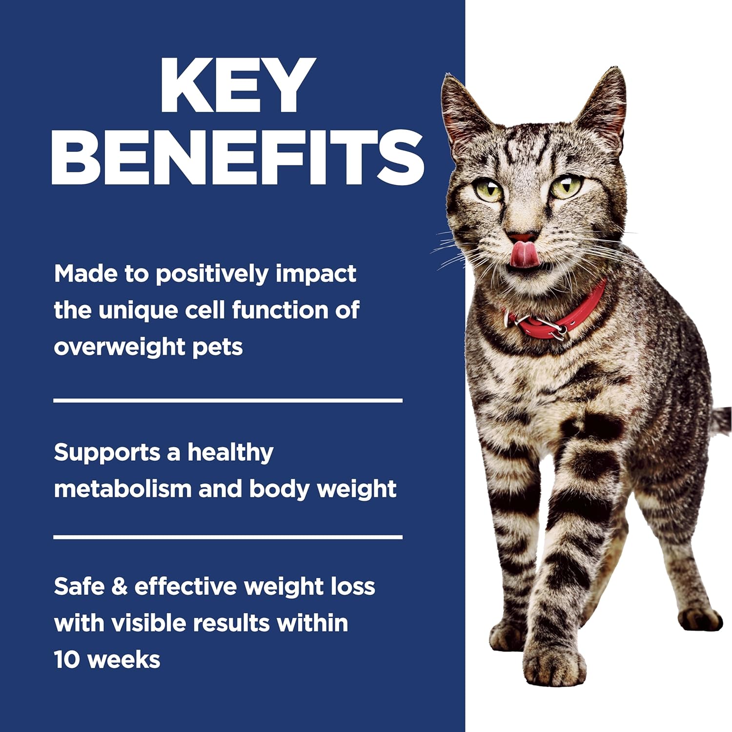 Hill'S Science Diet Adult Perfect Weight Dry Cat Food, Chicken, 3 Lb. Bag
