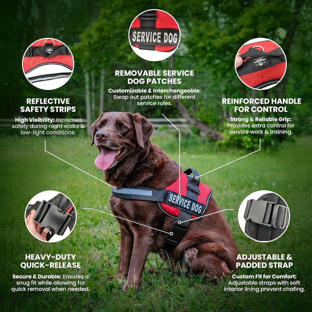 Service Dog in Training Vest Harness - Durable & Adjustable Dog Vest with Reflective Straps, Removable Patches, Handle & D-Ring, Travel and Daily Use, Small 19.5"-25", Bright Red