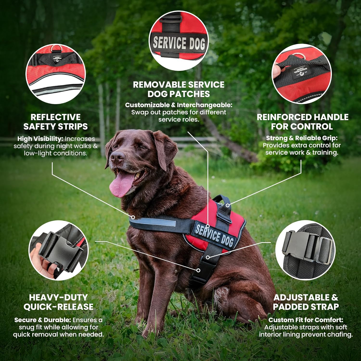 Service Dog in Training Vest Harness - Durable & Adjustable Dog Vest with Reflective Straps, Removable Patches, Handle & D-Ring, Travel and Daily Use, Small 19.5"-25", Bright Red